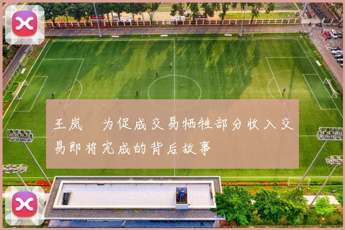 王岚嵚为促成交易牺牲部分收入交易即将完成的背后故事
