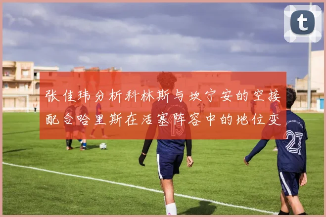 张佳玮分析科林斯与坎宁安的空接配合哈里斯在活塞阵容中的地位变化